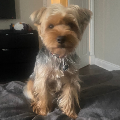 Original photo of Liam